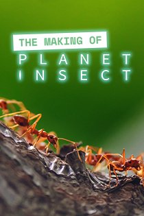 The Making of Planet Insect on Curiosity Stream